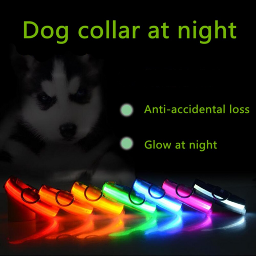 LED Adjustable Dog Collar Blinking Flashing Light Up Glow Pets Safety